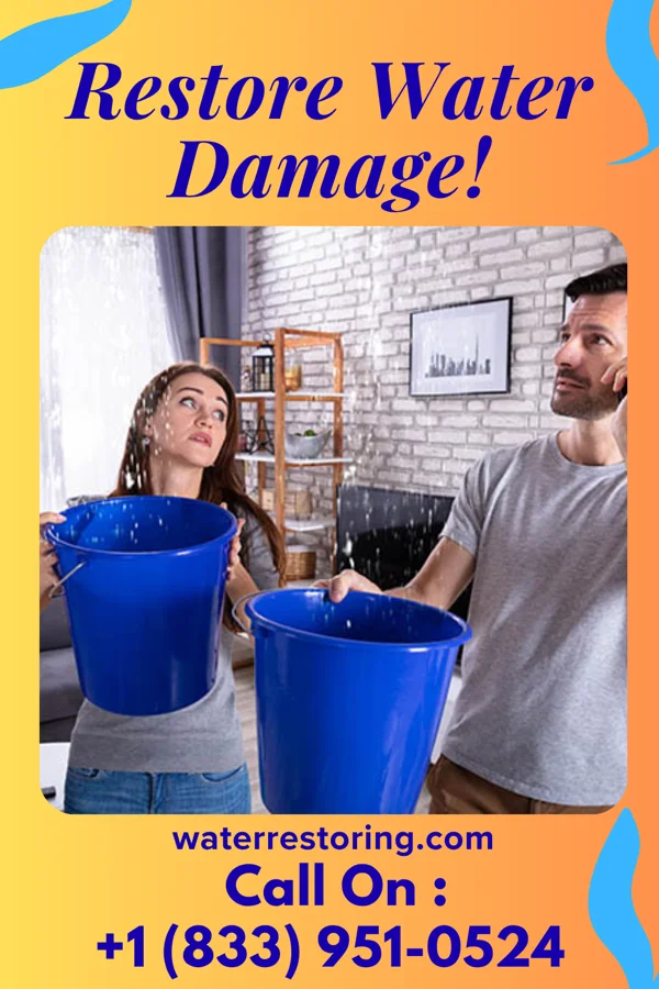 water restoration Local Water Cleanup Professionals Lester