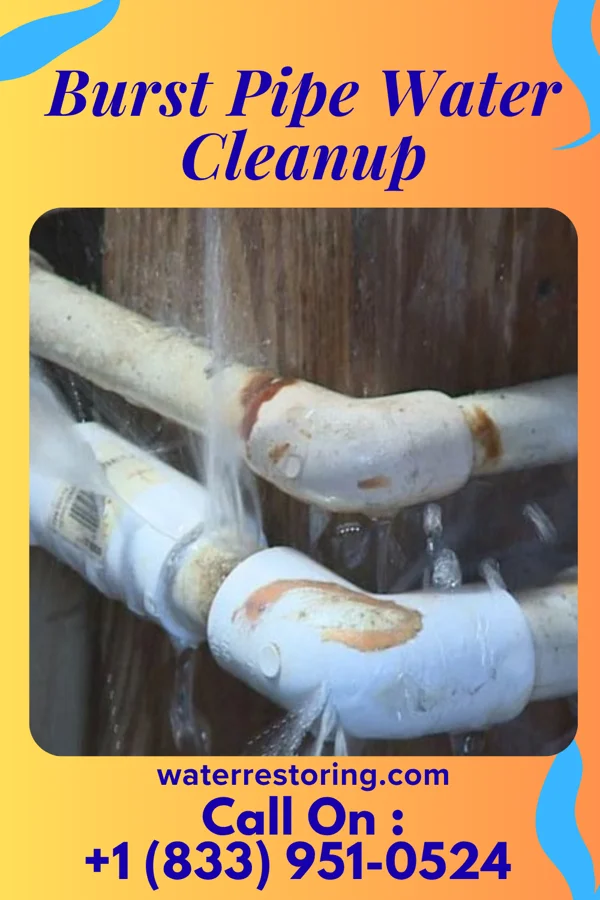 Burst Pipe Water Cleanup in Lester, WV