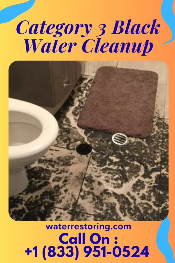 Category 3 Black Water Cleanup in Lester, WV
