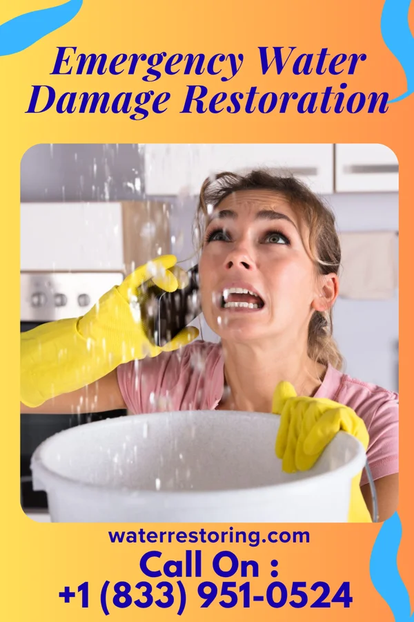 Emergency Water Damage Restoration in Lester, WV