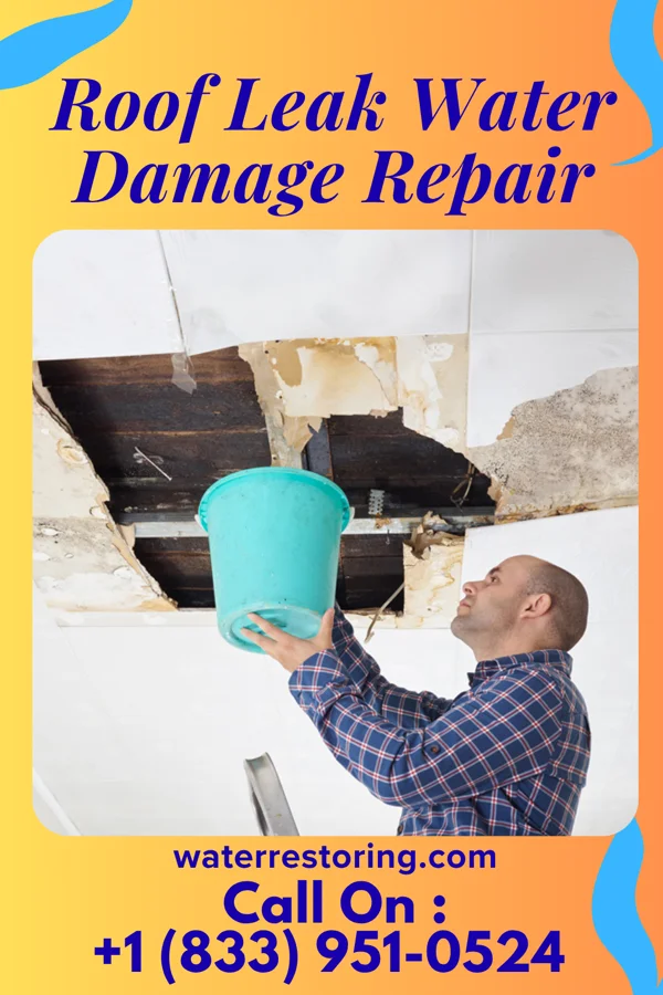 Roof Leak Water Damage Repair in Lester, WV