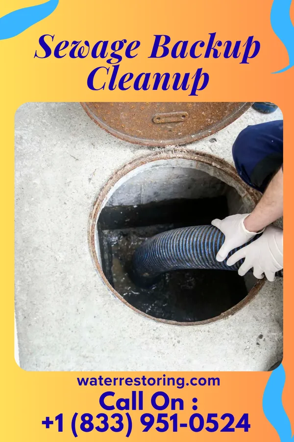 Sewage Backup Cleanup in Lester, WV