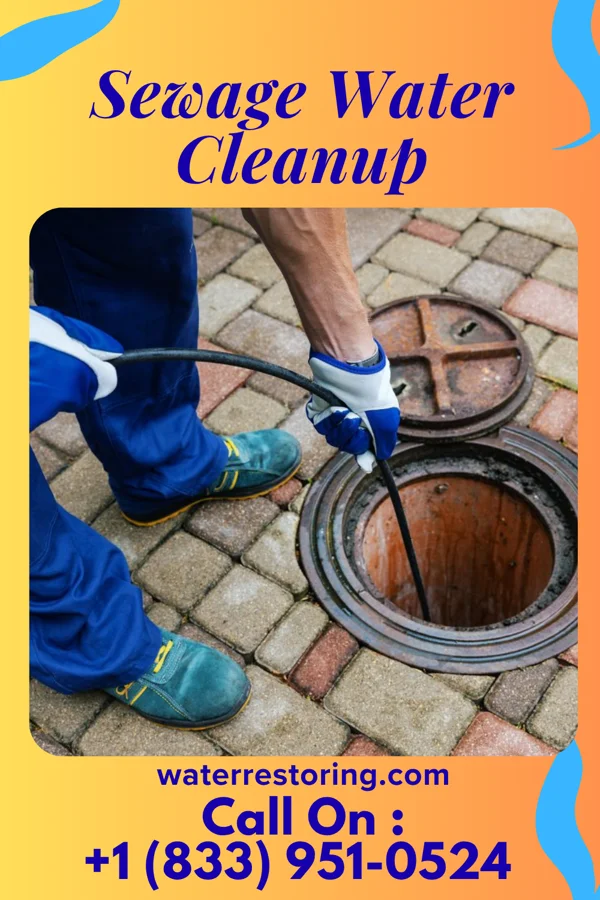 Sewage Water Cleanup in Lester, WV